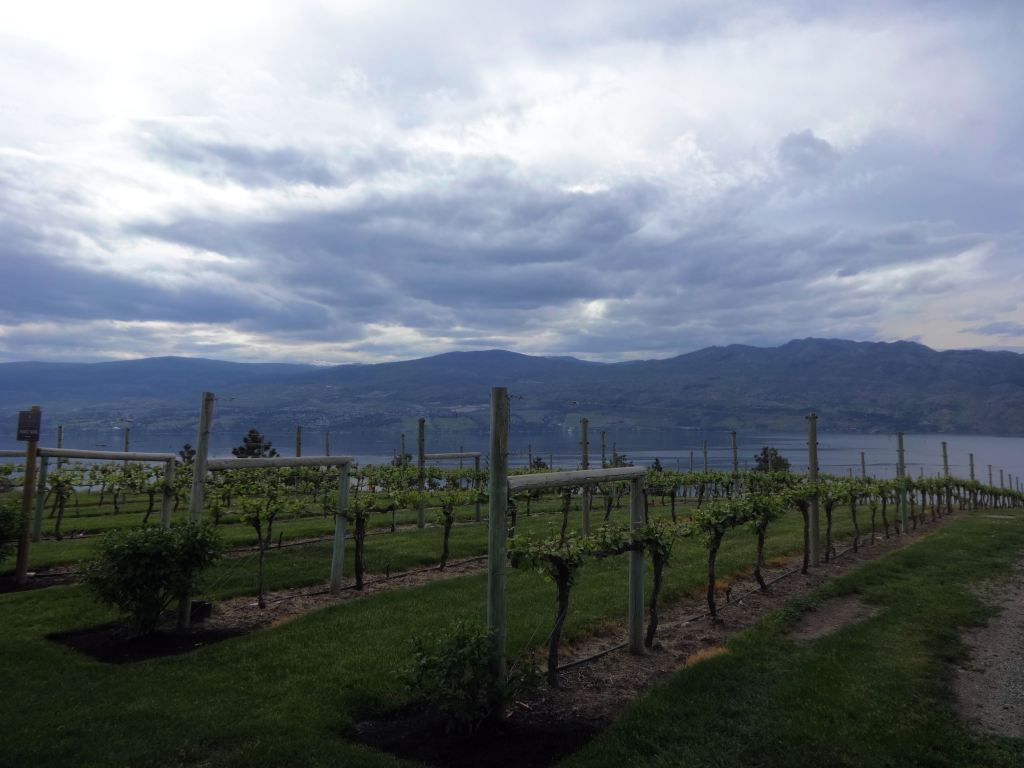 Kelowna Wineries