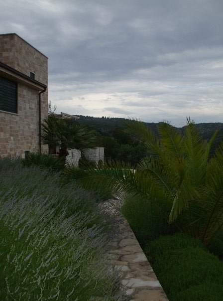 4982_189991330230_8095689_n