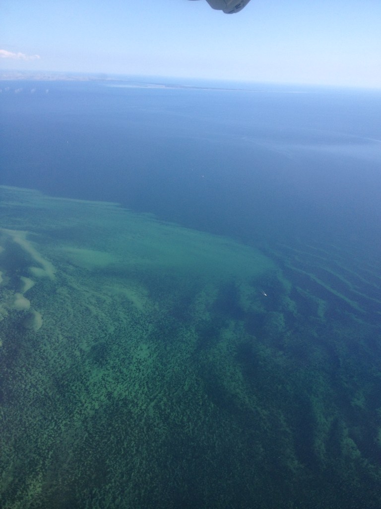 Bye bye Copenhagen :(