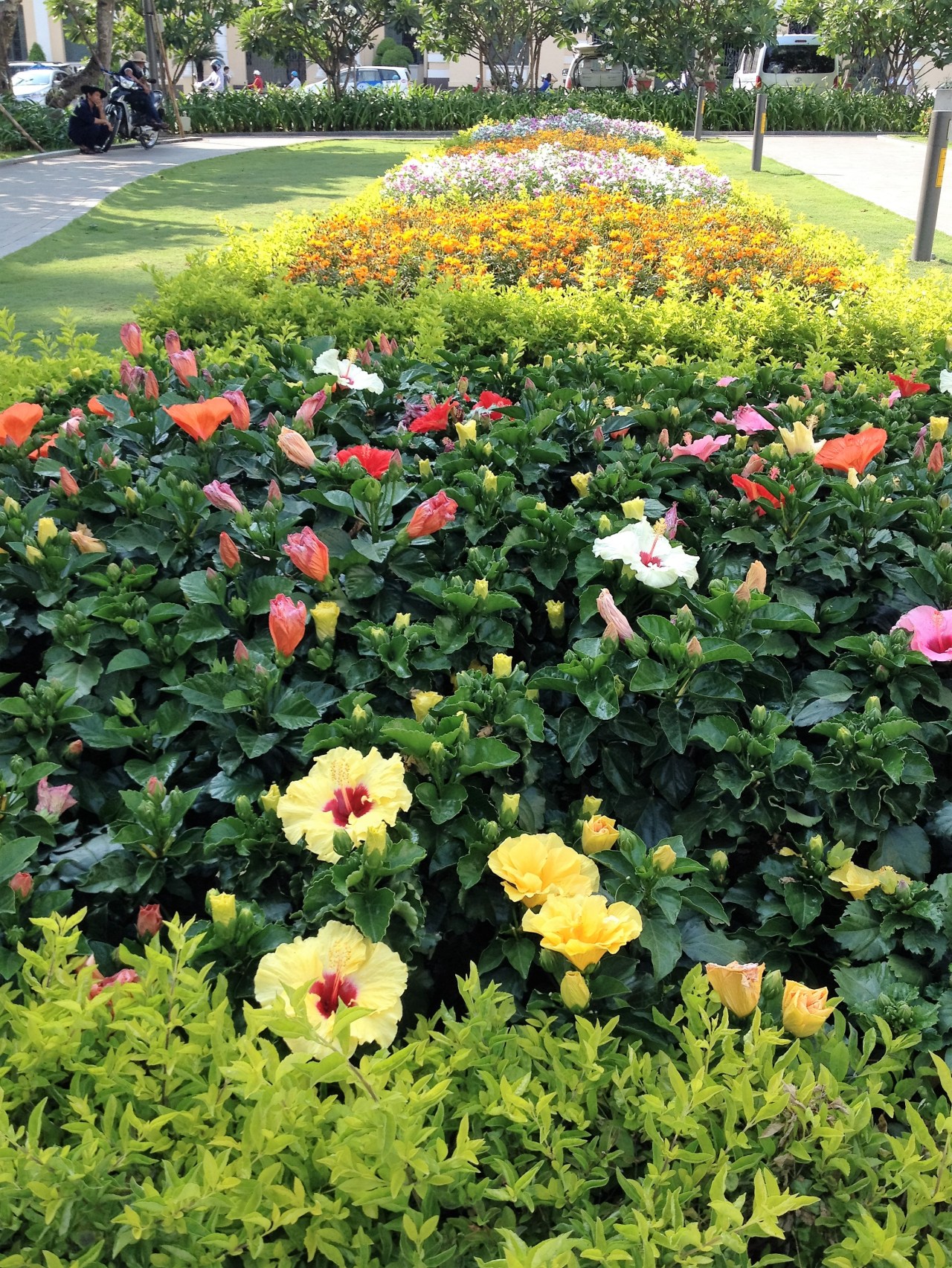 Saigon: Short and&nbsp;Sweet