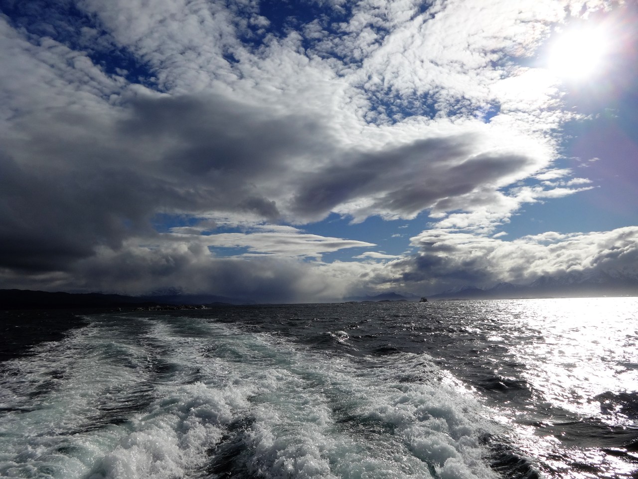 Penguins at the end of the&nbsp;World