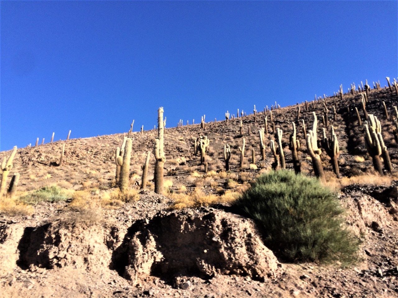 North Argentina – a Road&nbsp;Trip