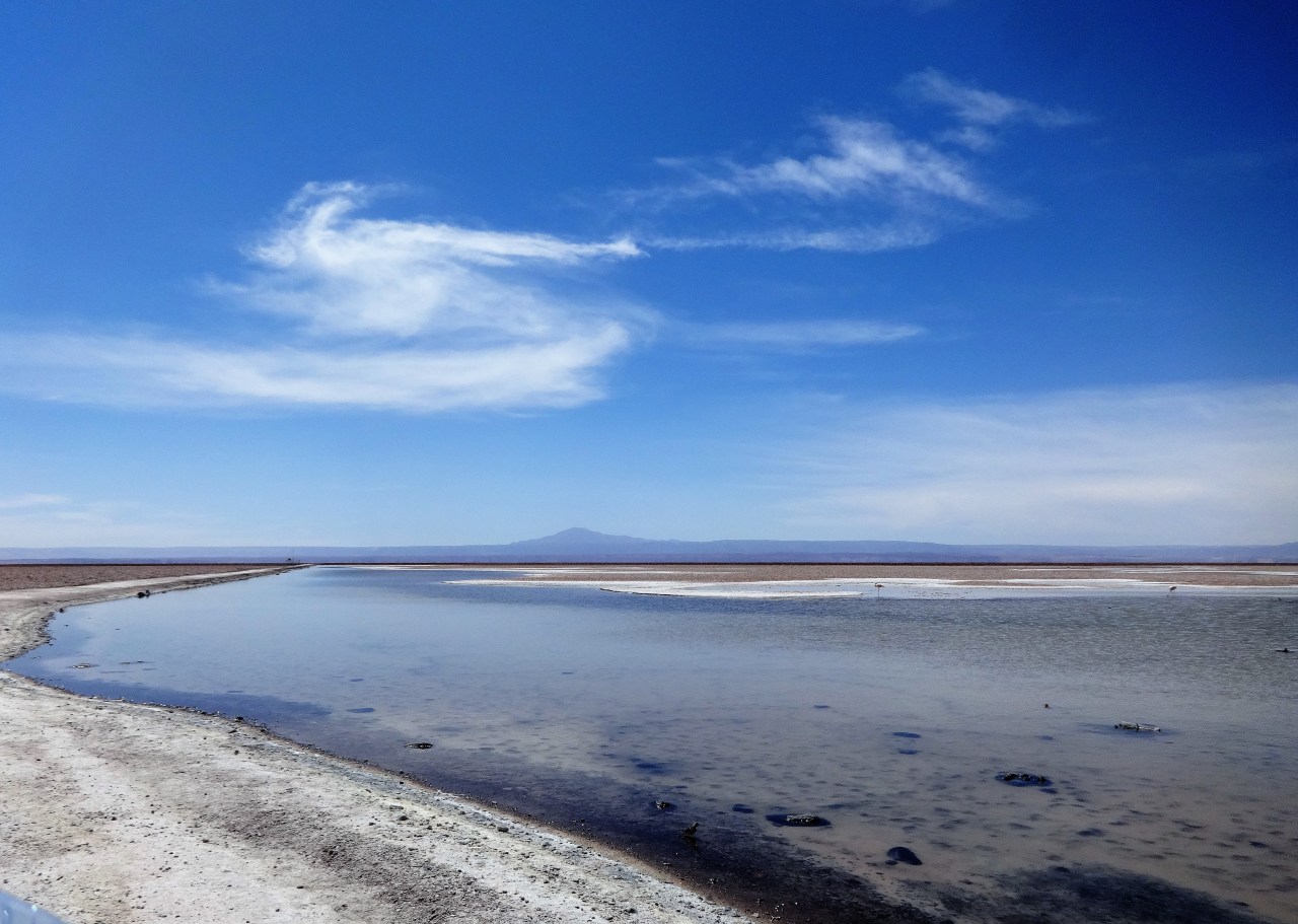 Lagoons and Flamingos, Atacama&nbsp;Desert