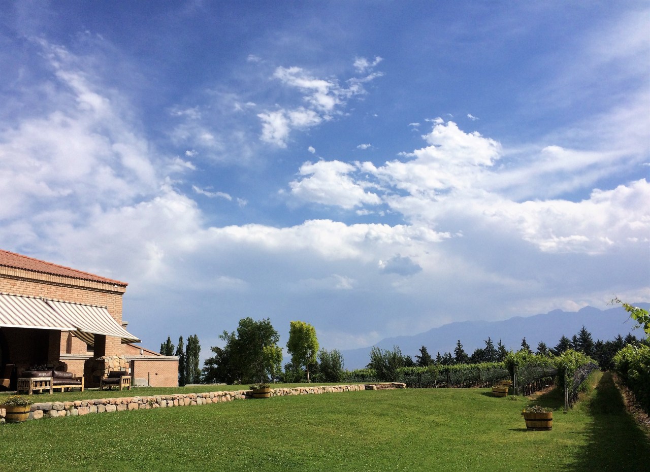 Bodega Andeluna, Mendoza