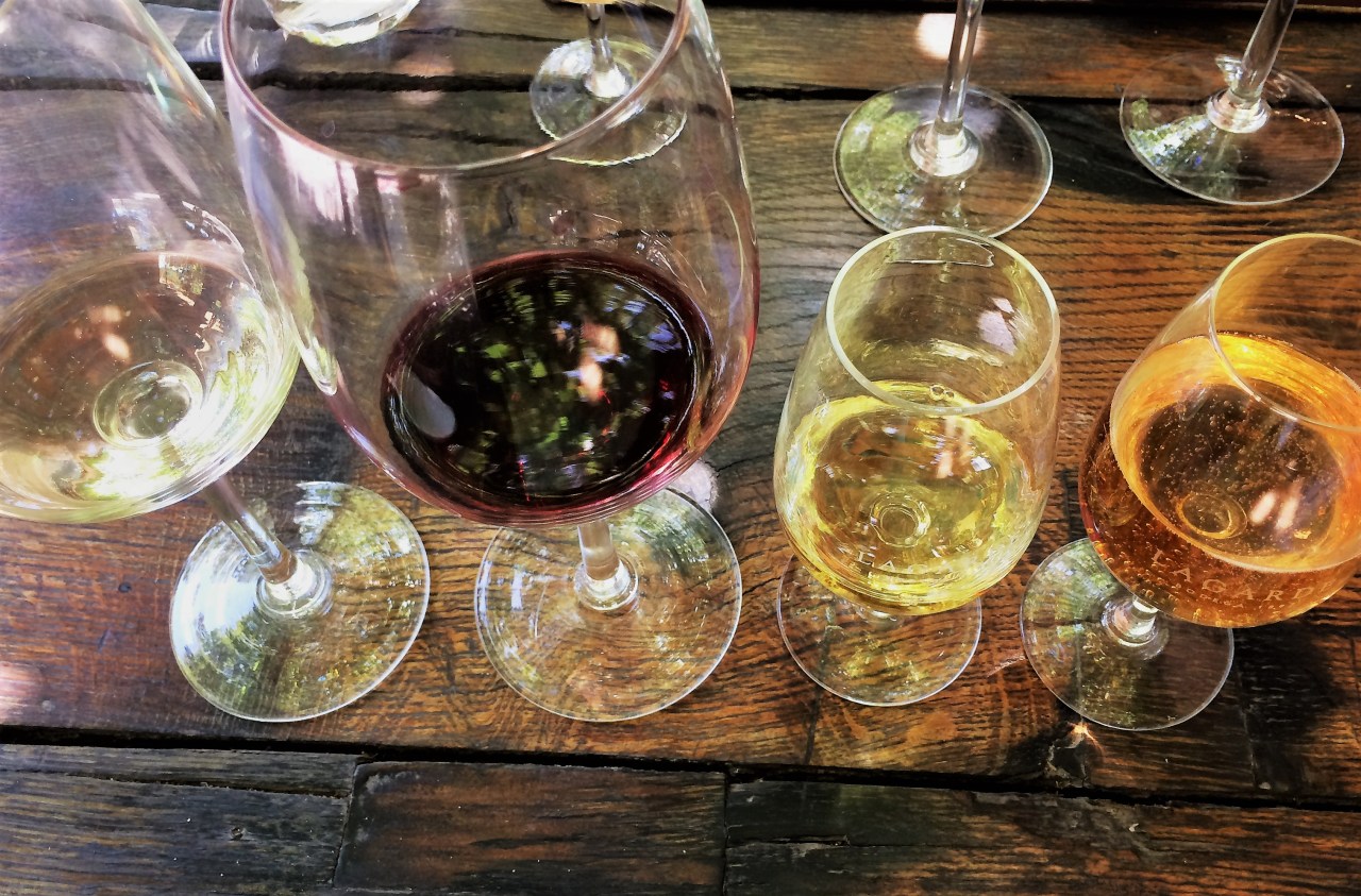 Lagarde Vineyards, Mendoza