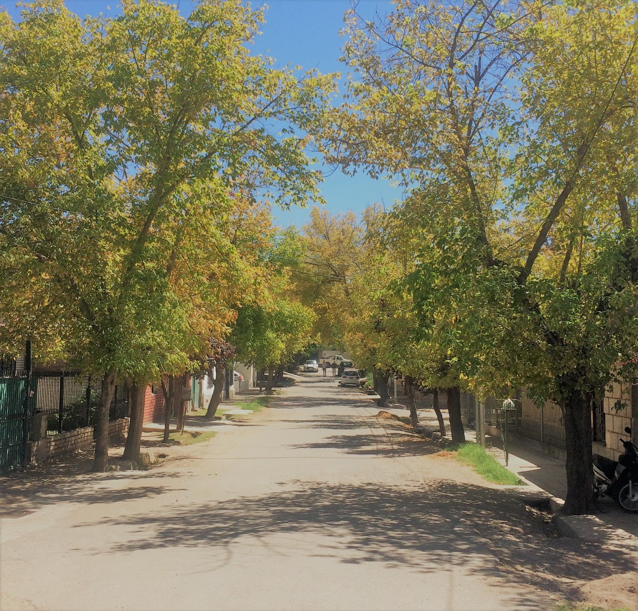 A Bike and Wine Tour,&nbsp;Mendoza