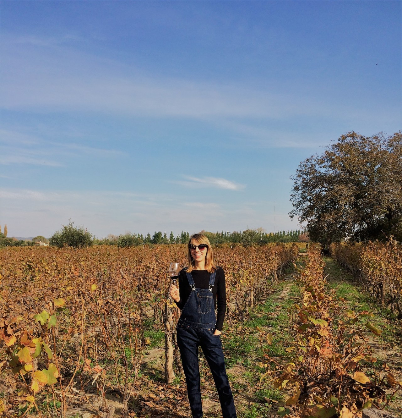 New to the Blog? Start&nbsp;here!